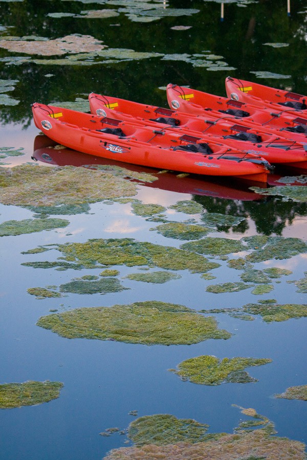 red canoes city park denver colorado