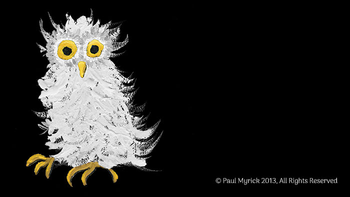 Snow Owl Watercolor Artwork by Paul Myrick