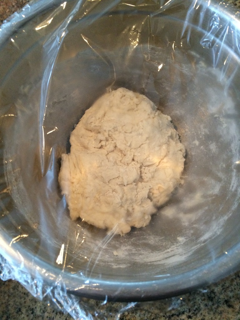 Dough just mixed and covered