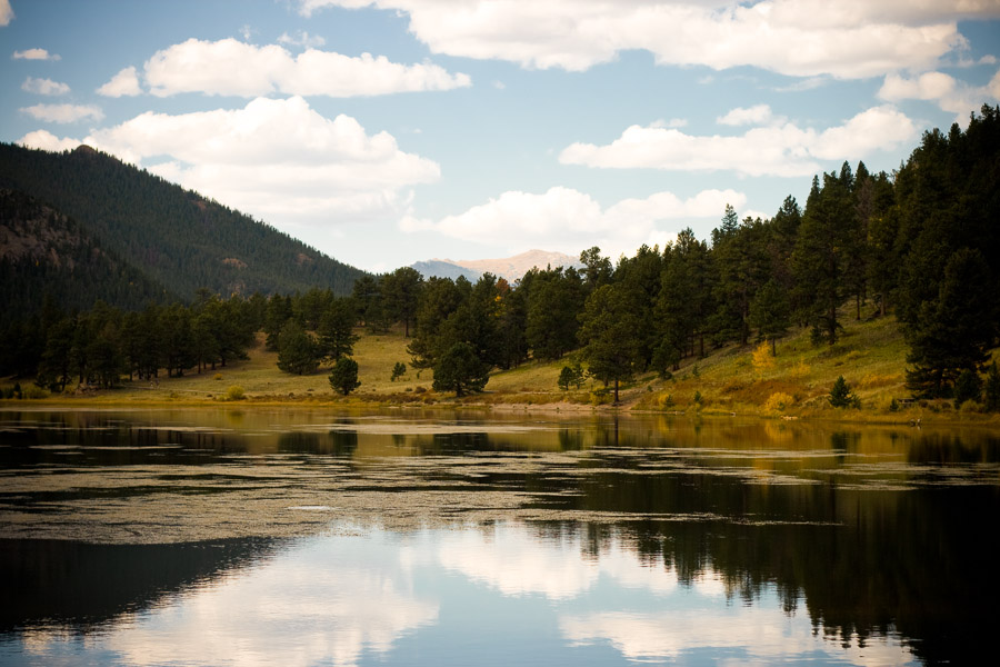 Lily Lake