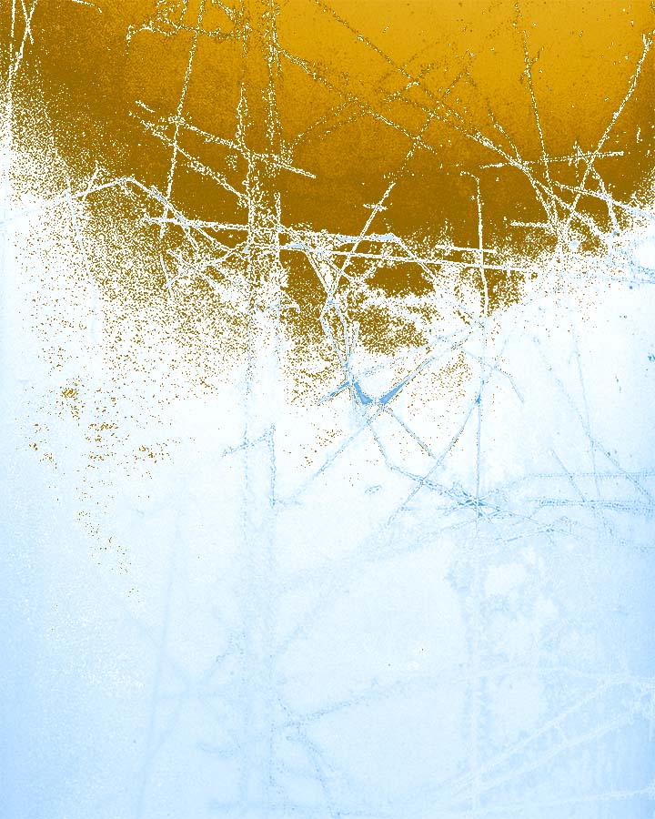 Icy Window Pane I