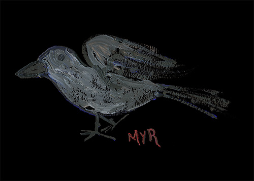 the raven artwork