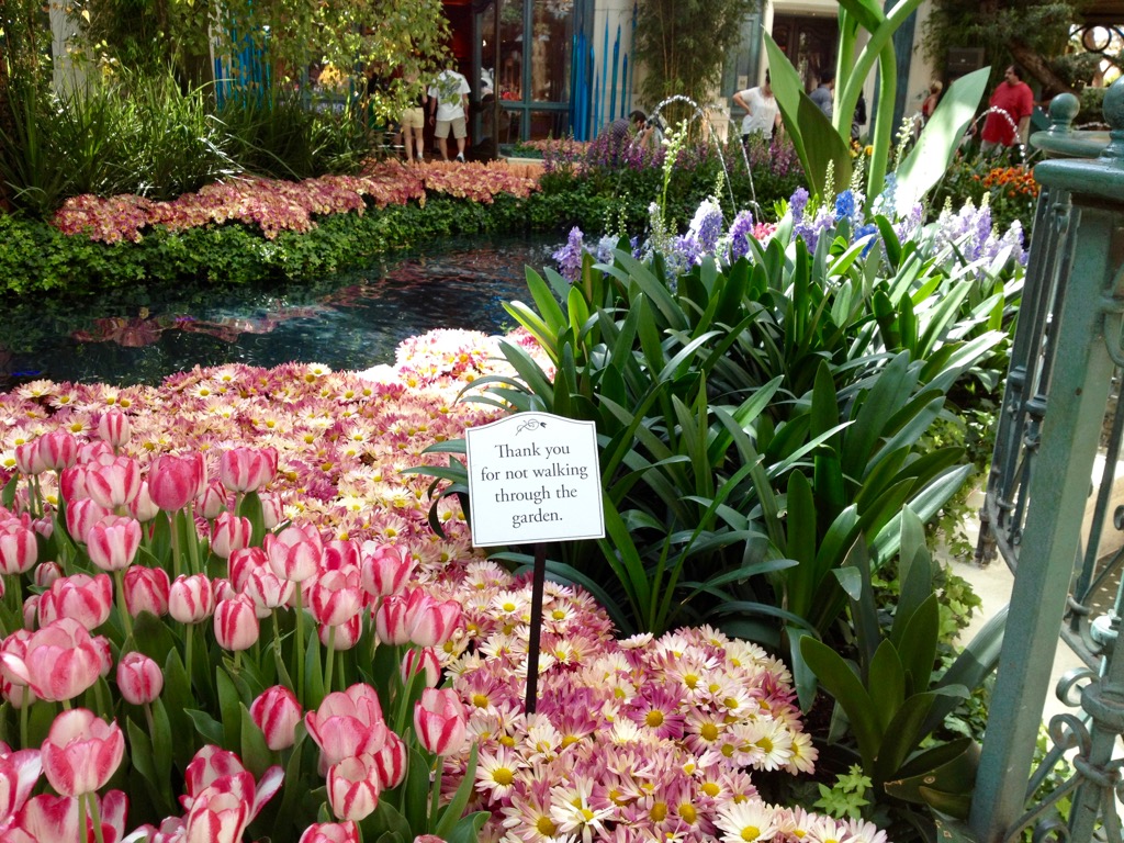 Conservatory At Bellagio Las Vegas