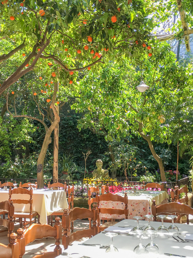orange tree parrucchiano favorite sorrento italy