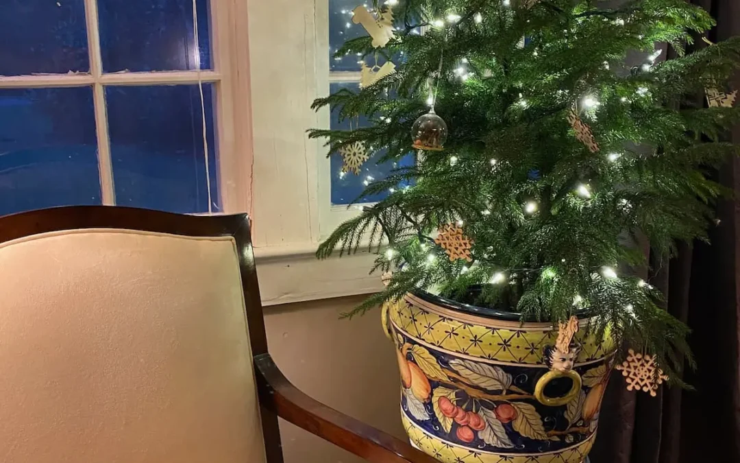 The Little Christmas Tree