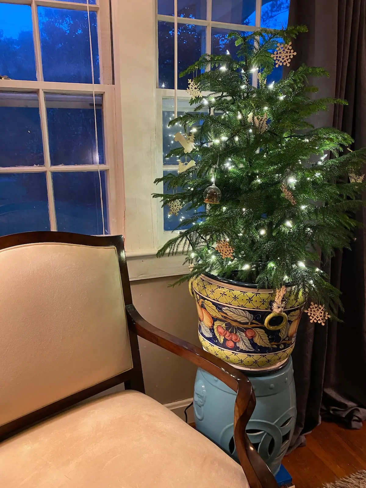 The Little Christmas Tree