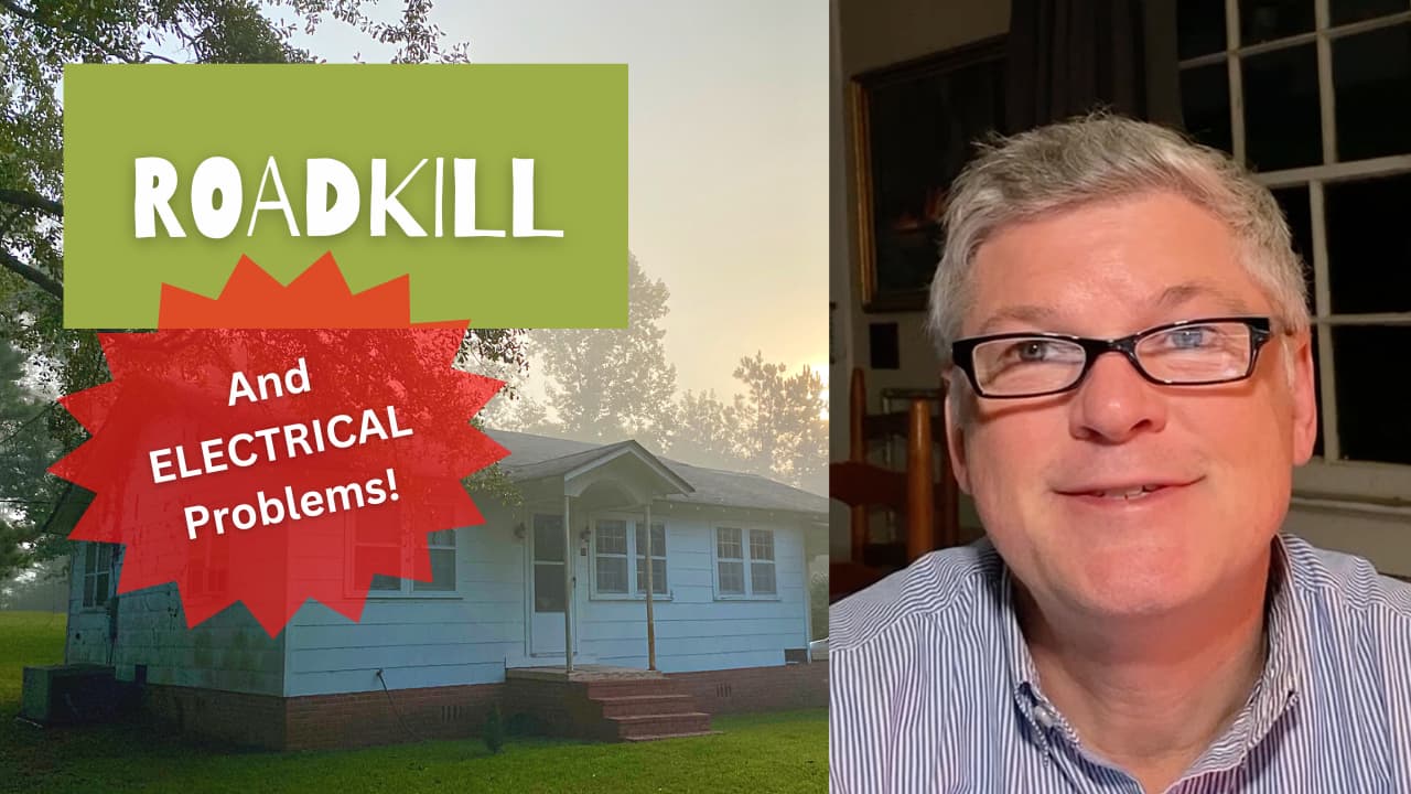 Roadkill and electrical problems cover image