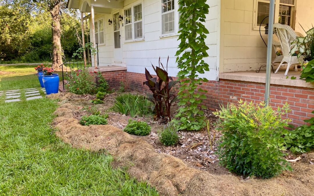 What Bard (Google AI) Said About My Cottage Garden