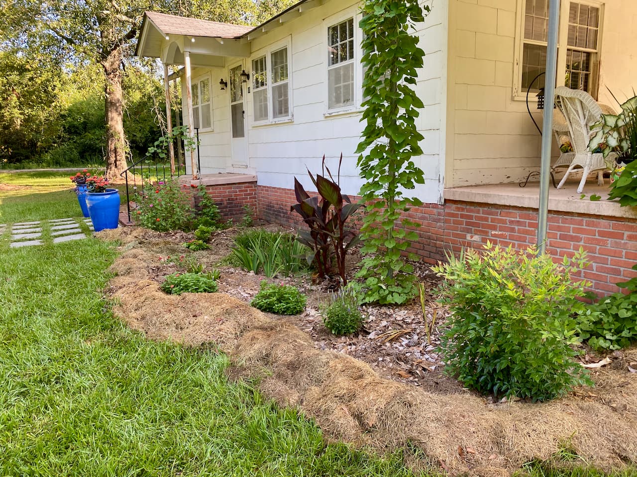 cottage front garden